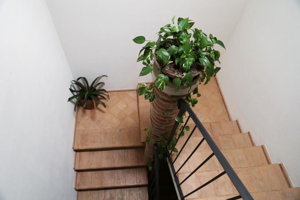 B&B Ca' De Taruffi Bed & Breakfast Sasso Marconi