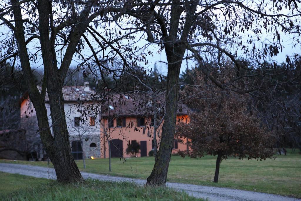 B&B Ca' De Taruffi Bed & Breakfast Sasso Marconi